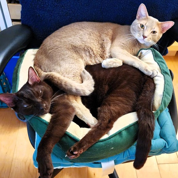 MEET YOUR POSHER, Tatiana ππ π»πΆπ - Picture 14 of 15